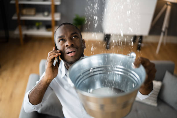 Best Professional water damage repair  in North Belle Vernon, PA