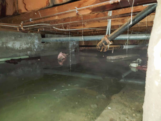 North Belle Vernon, PA Water damage restoration Pros