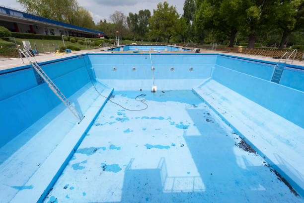 Best Flood damage cleanup  in North Belle Vernon, PA