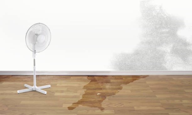 Best Sewage cleanup and water damage restoration  in North Belle Vernon, PA