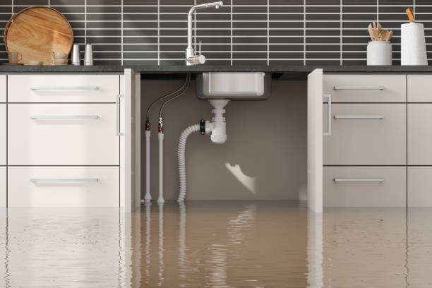 Best Flood damage cleanup  in North Belle Vernon, PA