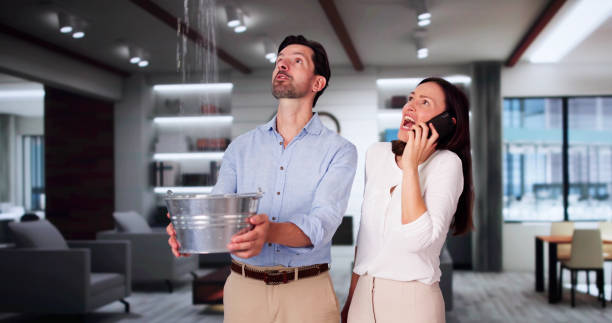 Best Ceiling water damage repair  in North Belle Vernon, PA