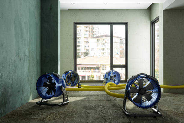 Best Carpet water damage restoration  in North Belle Vernon, PA